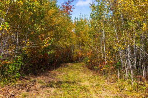 4325 Cr-11, Barnum, MN 55707