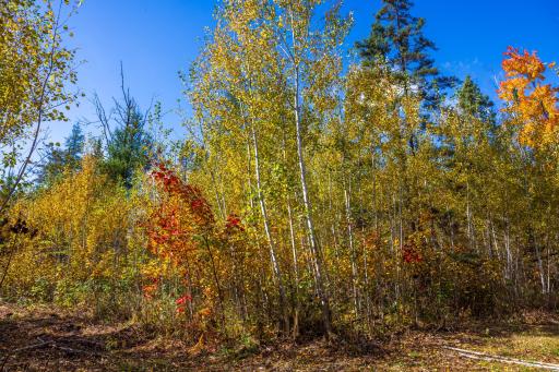 4325 Cr-11, Barnum, MN 55707