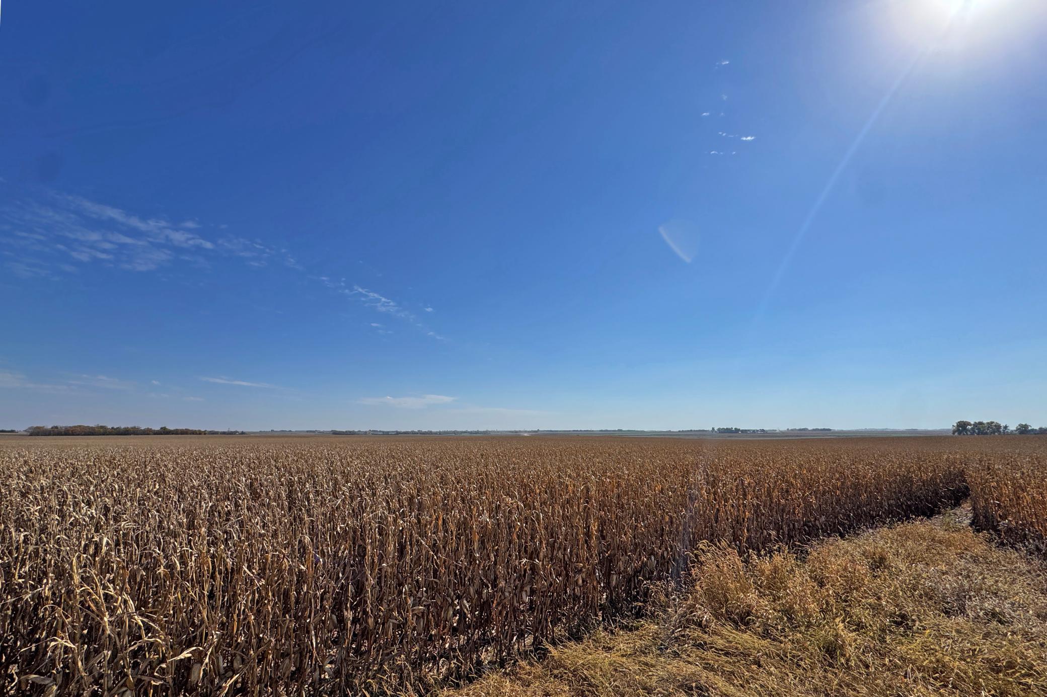 36-Pipestone-160-Land-26.JPG
