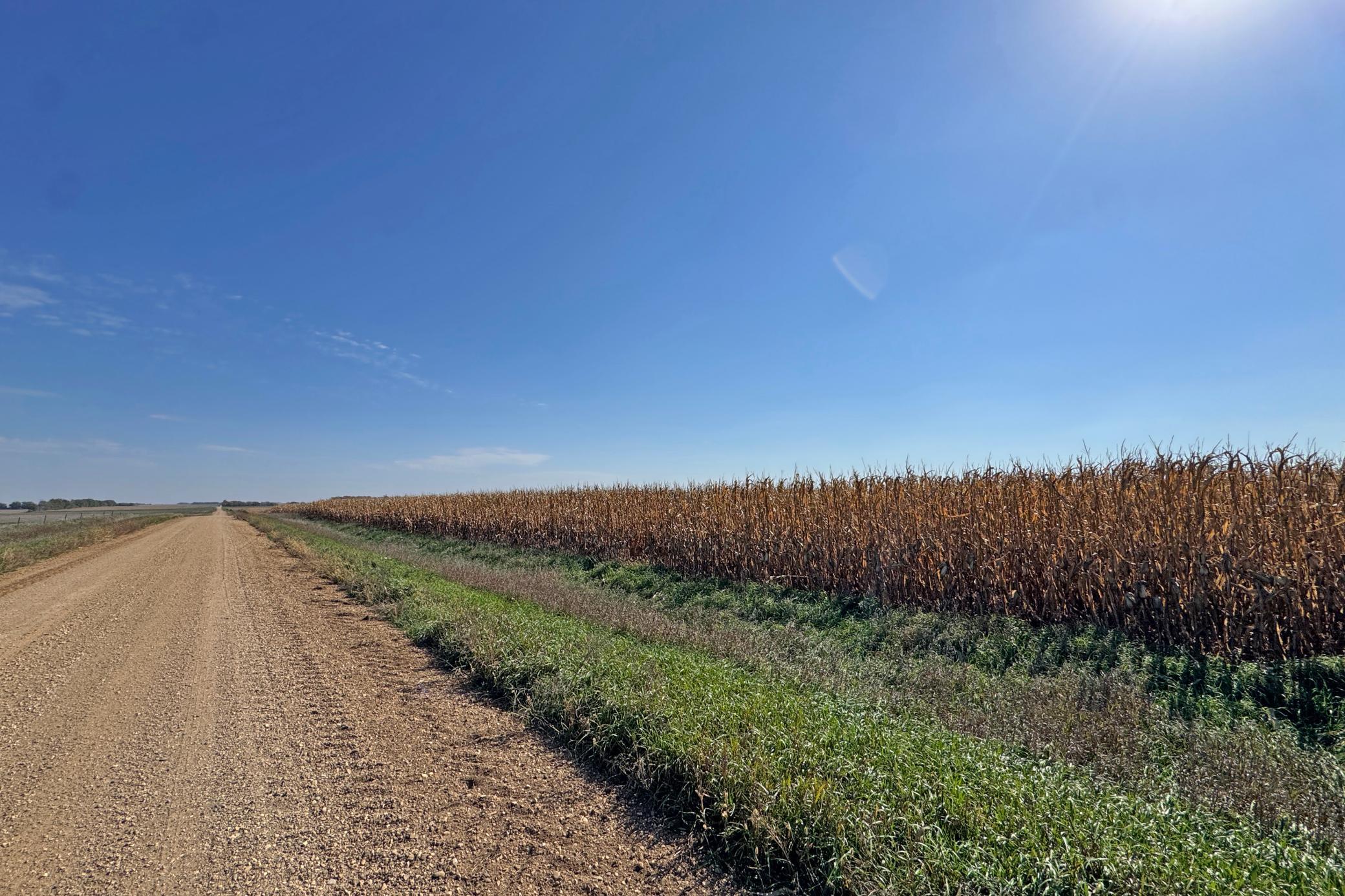 38-Pipestone-160-Land-28.JPG