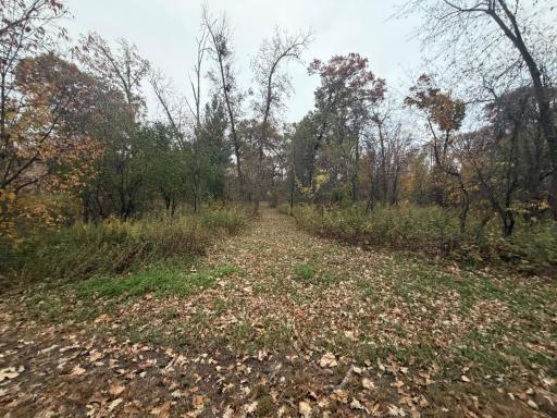 30032 154th Street NW, Zimmerman, MN 55398
