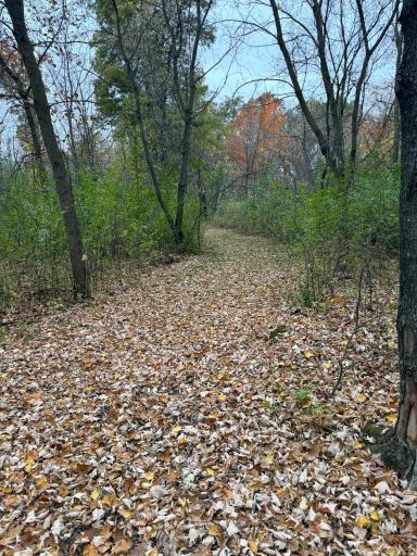 30032 154th Street NW, Zimmerman, MN 55398