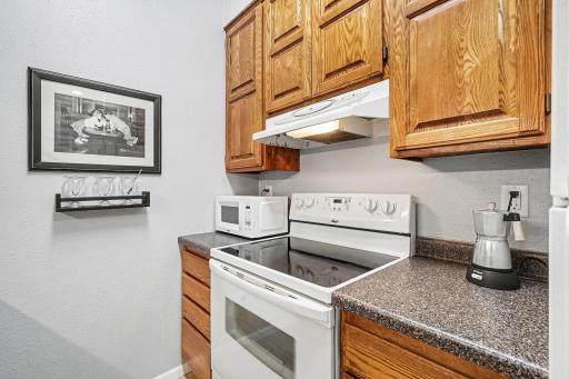 405 Main Street, 203, Red Wing, MN 55066