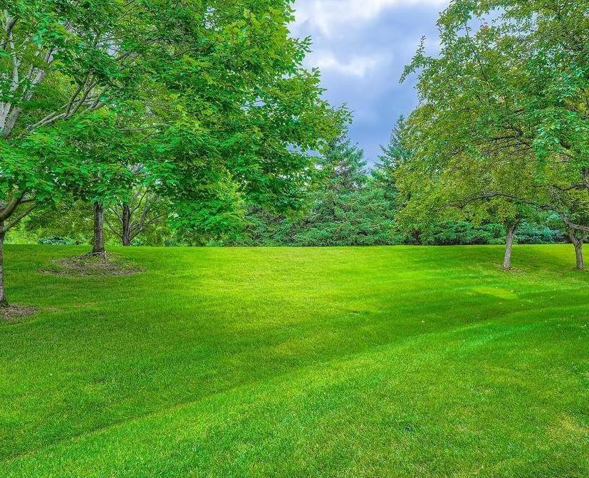 Backyard - Exterior