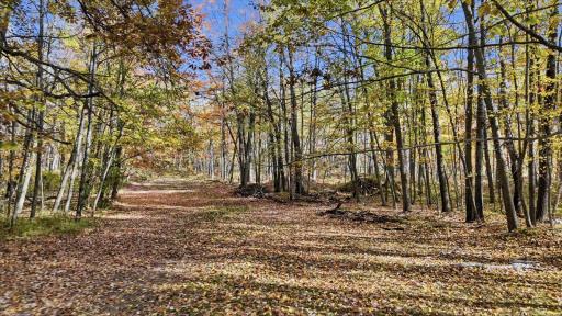 16969 Dahlstein Road, Finlayson, MN 55735