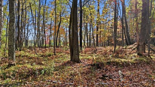 16969 Dahlstein Road, Finlayson, MN 55735