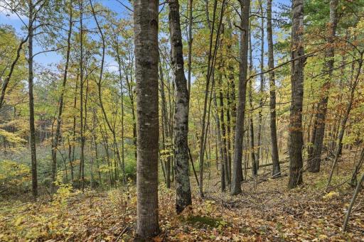 16969 Dahlstein Road, Finlayson, MN 55735