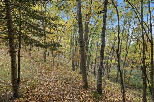 16969 Dahlstein Road, Finlayson, MN 55735