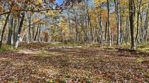 16969 Dahlstein Road, Finlayson, MN 55735