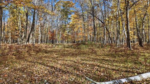 16969 Dahlstein Road, Finlayson, MN 55735