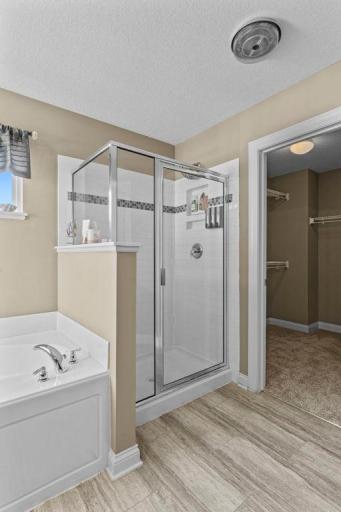 4014 Holasek Path, Chaska, MN 55318