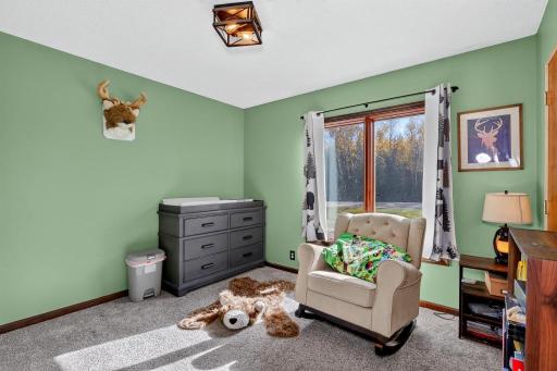 43862 Chase Lake Road, Deer River, MN 56636