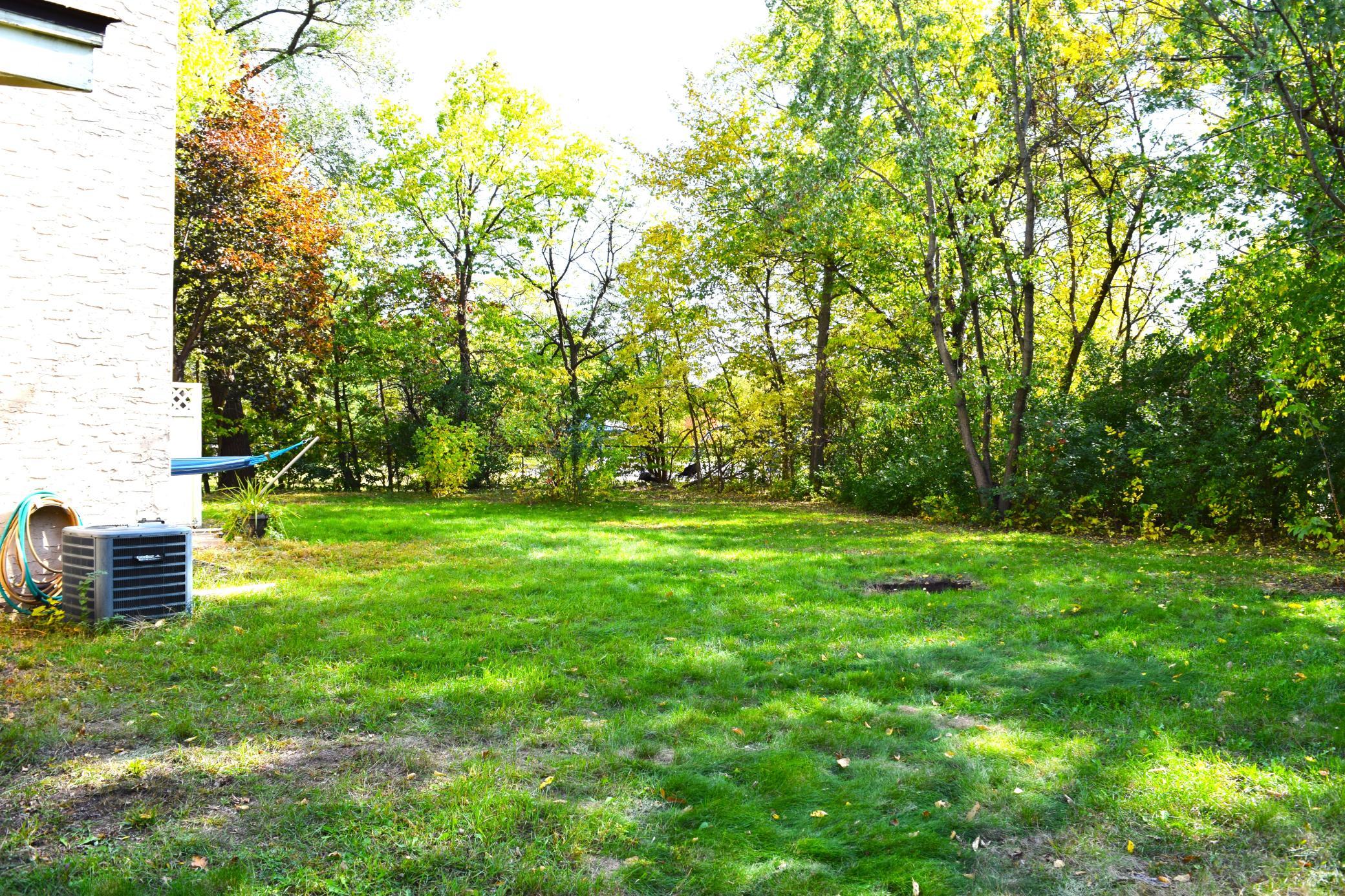 The backyard, a great place to play!