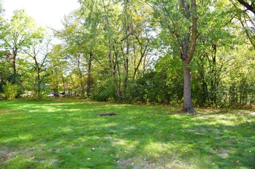 The tree-lined backyard is right next to Bellevue Park!