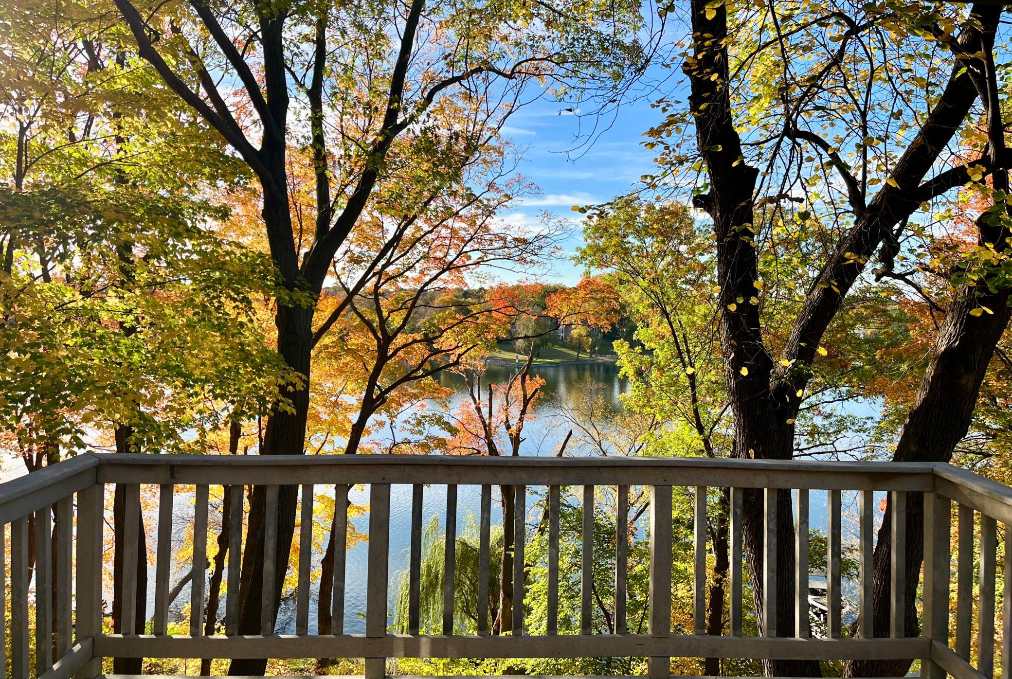 Lakeview 2.jpeg