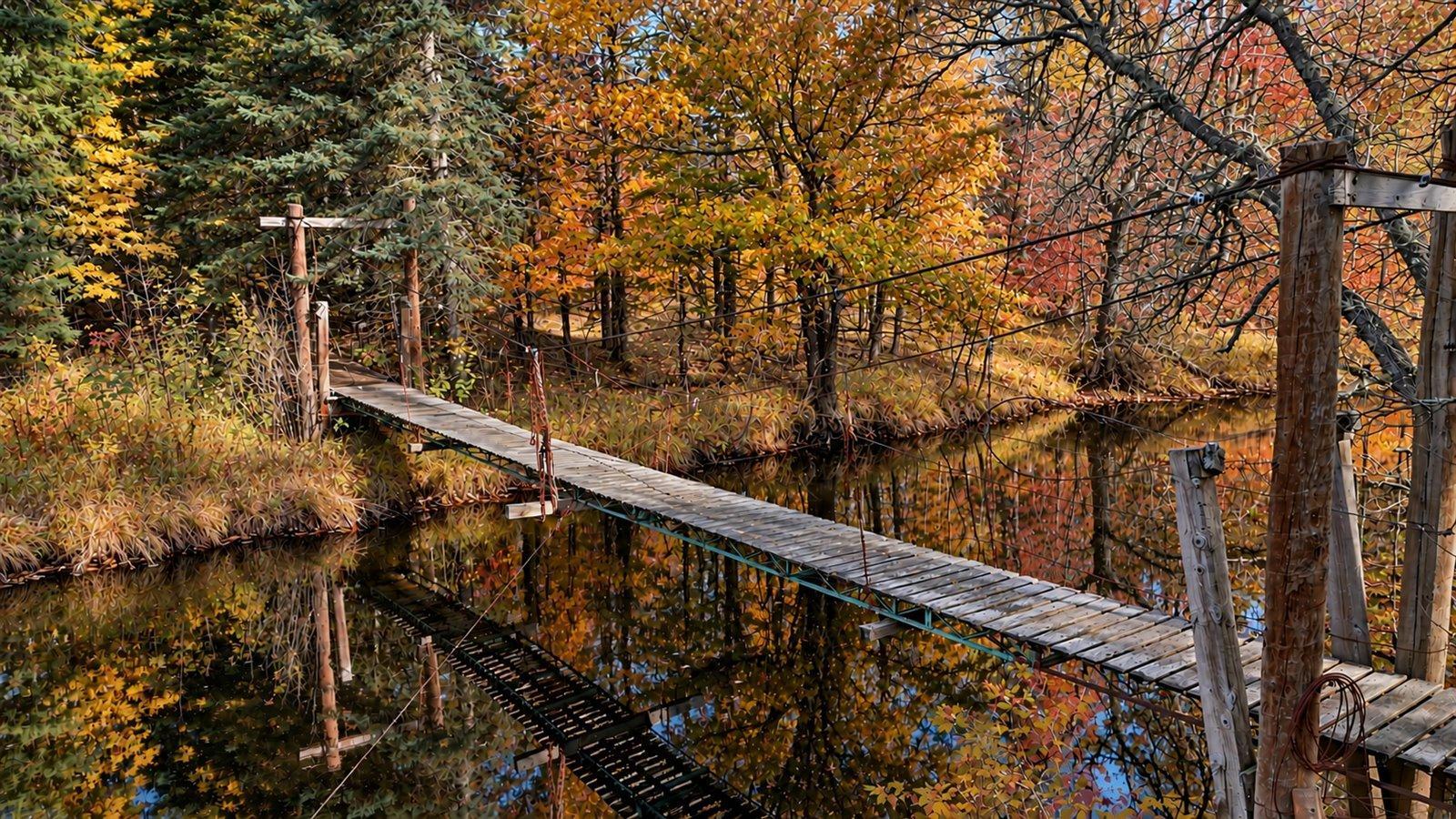Suspension Bridge