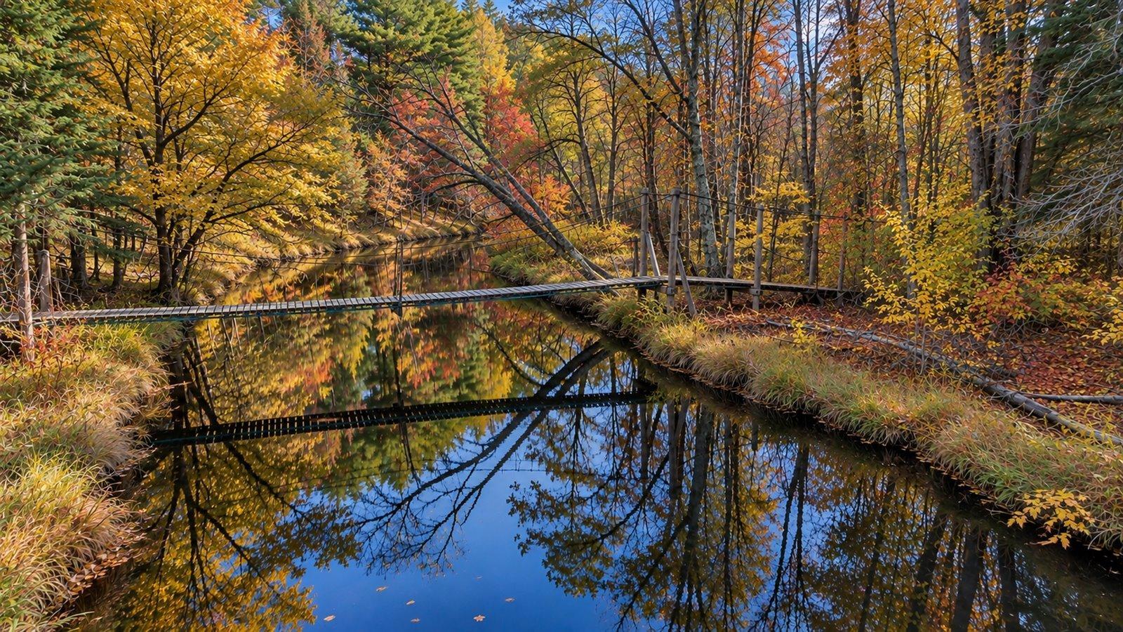 Suspension Bridge