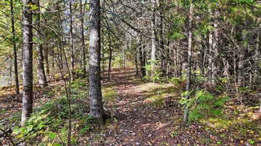 9816 County Road 30, Big Falls, MN 56627