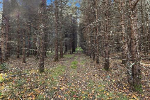 9816 County Road 30, Big Falls, MN 56627