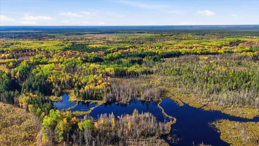 9816 County Road 30, Big Falls, MN 56627