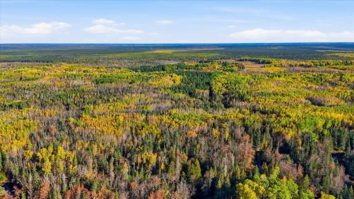 9816 County Road 30, Big Falls, MN 56627
