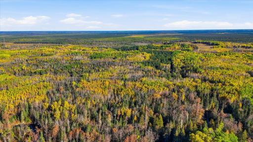 9816 County Road 30, Big Falls, MN 56627