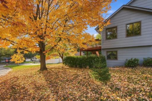 940 Douglas Court, Anoka, MN 55303