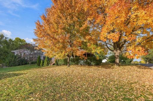 940 Douglas Court, Anoka, MN 55303