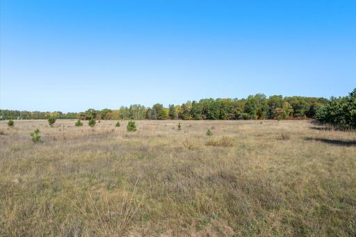 TBD West Street, Breezy Point, MN 56472