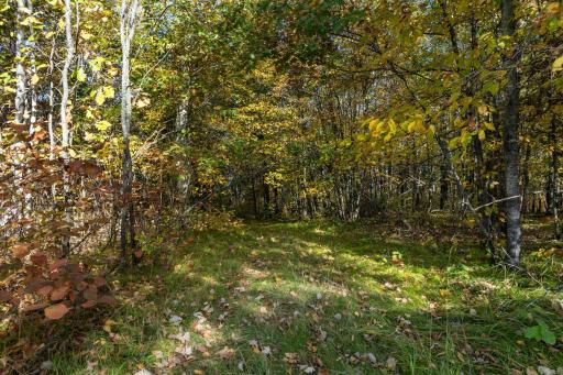 TBD West Street, Breezy Point, MN 56472
