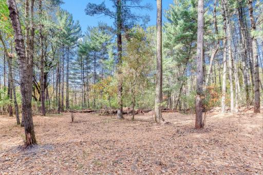 18020 Rutgers Street NE, Columbus, MN 55025