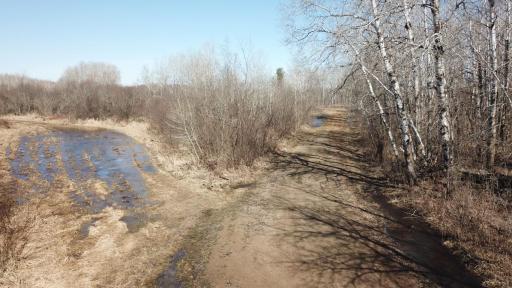 TBD Basswood Drive, Cushing, MN 56443