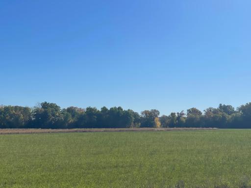 TBD XXX 85th Avenue, Lot 3, Princeton, MN 55371