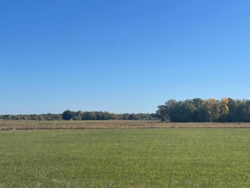 TBD XXX 85th Avenue, Lot 3, Princeton, MN 55371