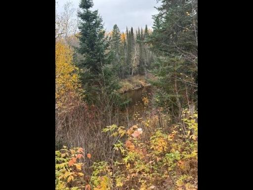 1997 Hwy 83, Zim, MN 55738