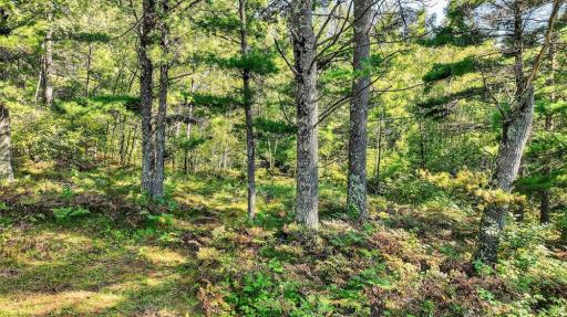 9491 Totogatic Road, Cable, WI 54821