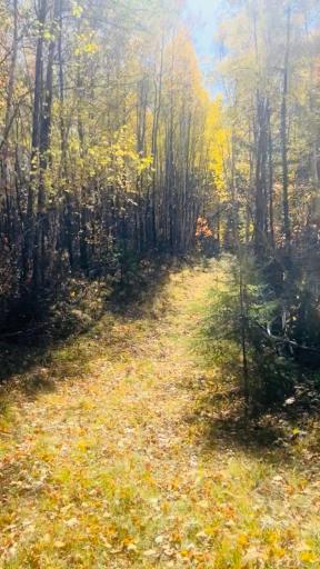 9491 Totogatic Road, Cable, WI 54821