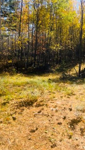 9491 Totogatic Road, Cable, WI 54821