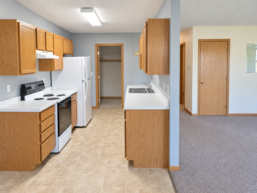 1305 Bayberry Avenue, #16, Olivia, MN 56277