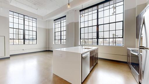 1010 S 7th Street, 217, Minneapolis, MN 55415