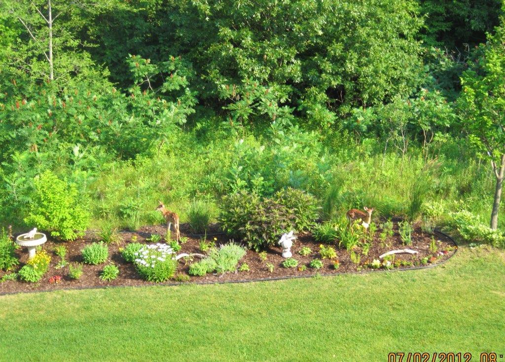 Beautifully landscaped garden beds filled with colorful flowers and perennials, all framed by the wooded backdrop.