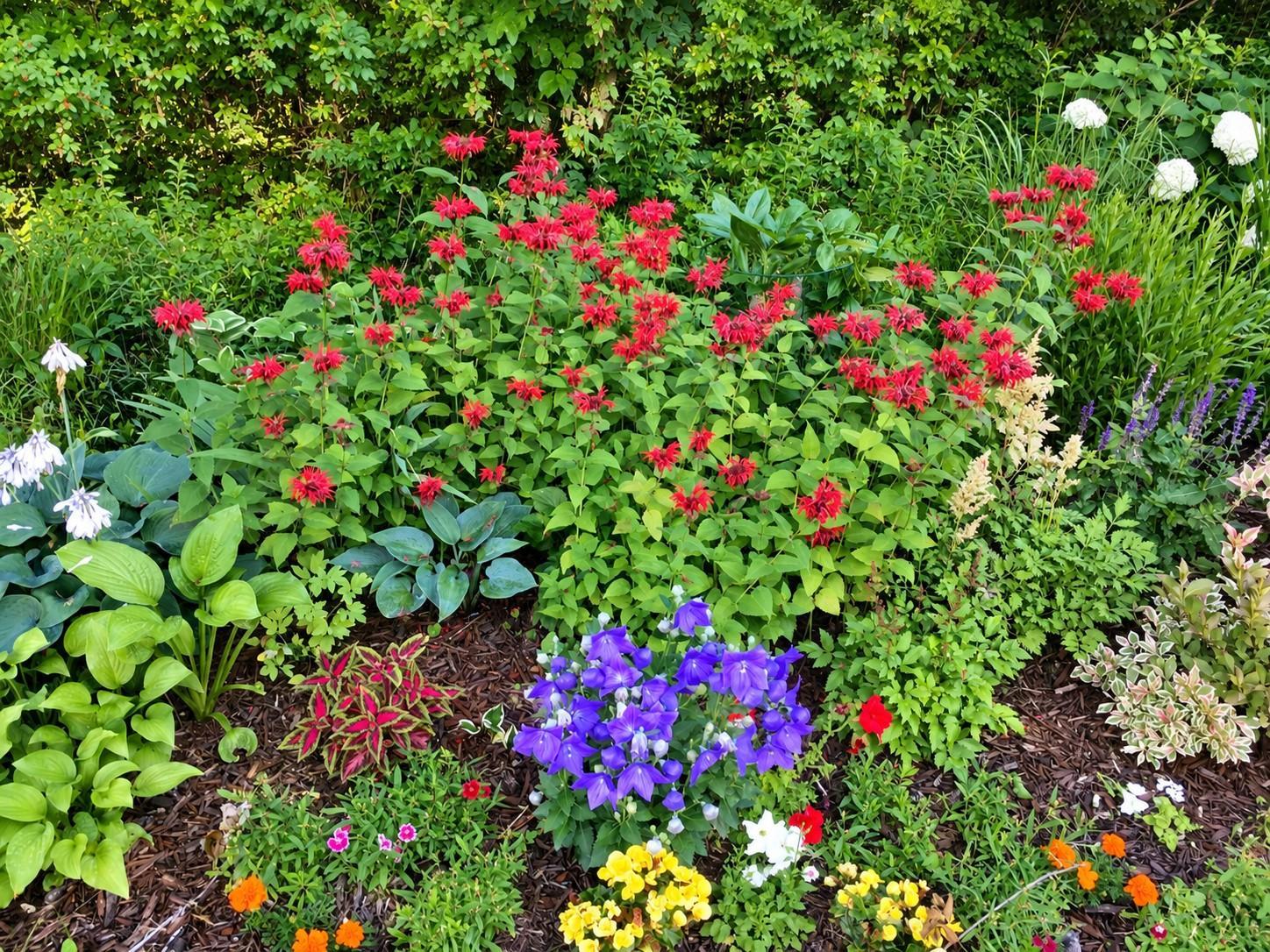 The sellers have enjoyed creating and caring for these colorful gardens, with a variety of flowers blooming throughout the warmer months.