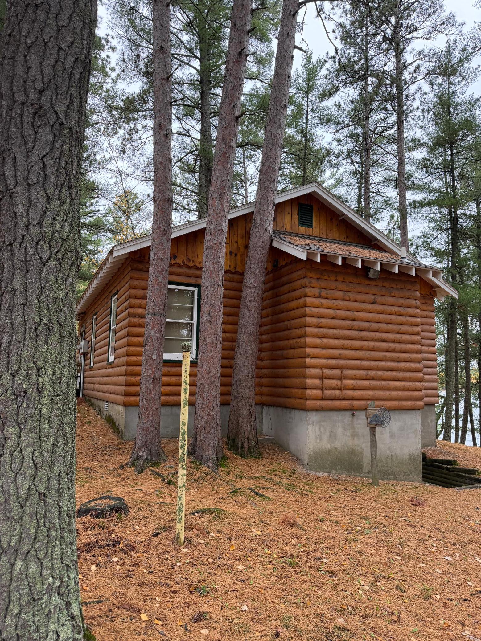 SE corner of cabin