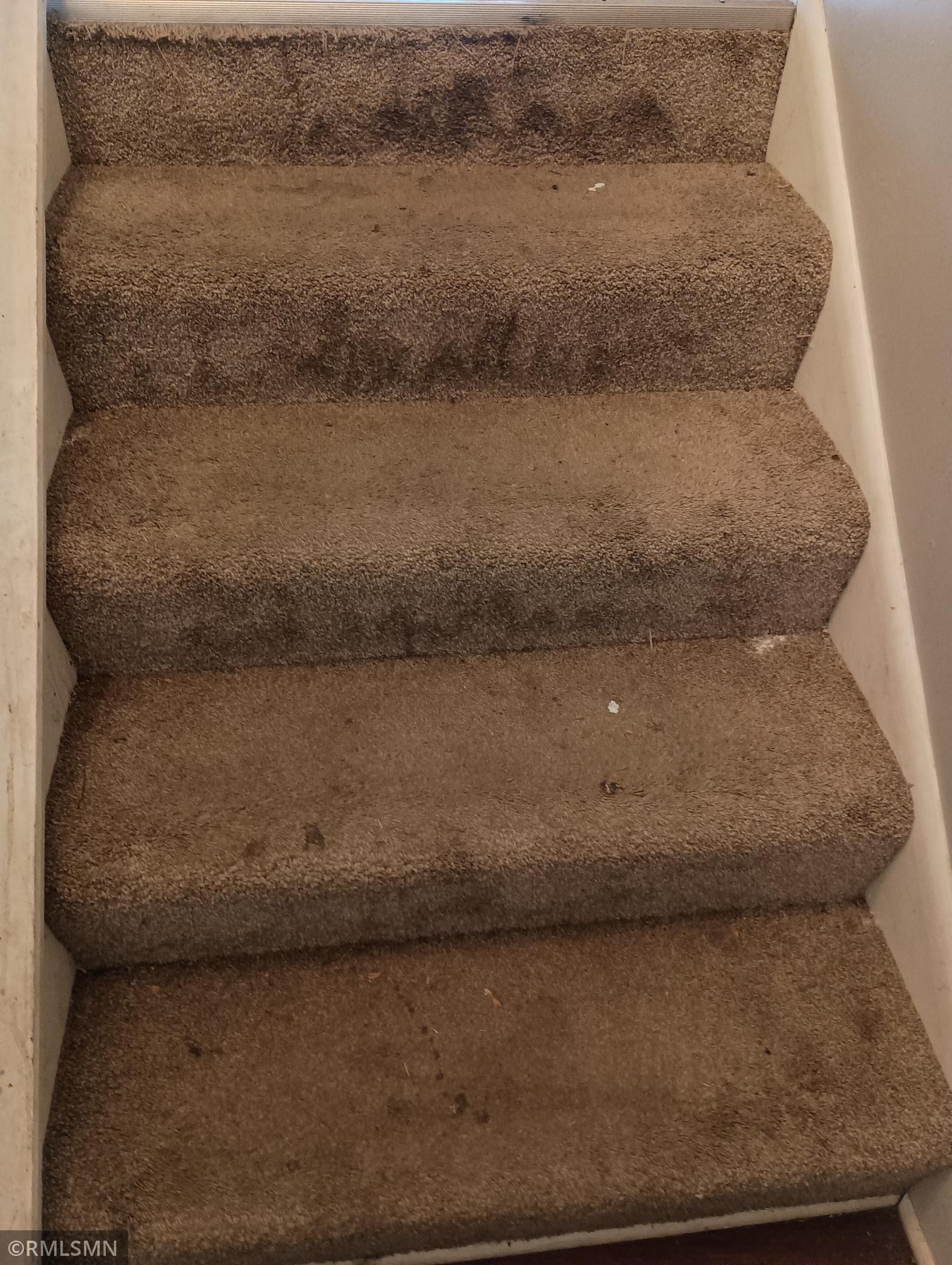 CARPET 1.jpg