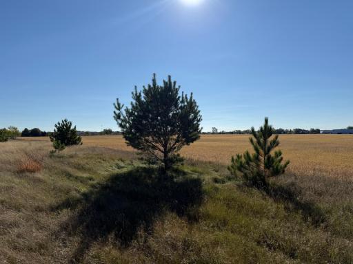 TBD Front Avenue, Park Rapids, MN 56470