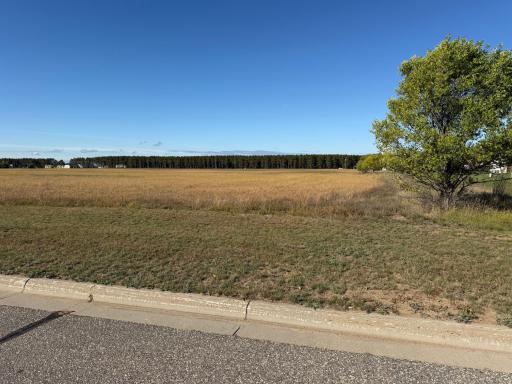 TBD Front Avenue, Park Rapids, MN 56470