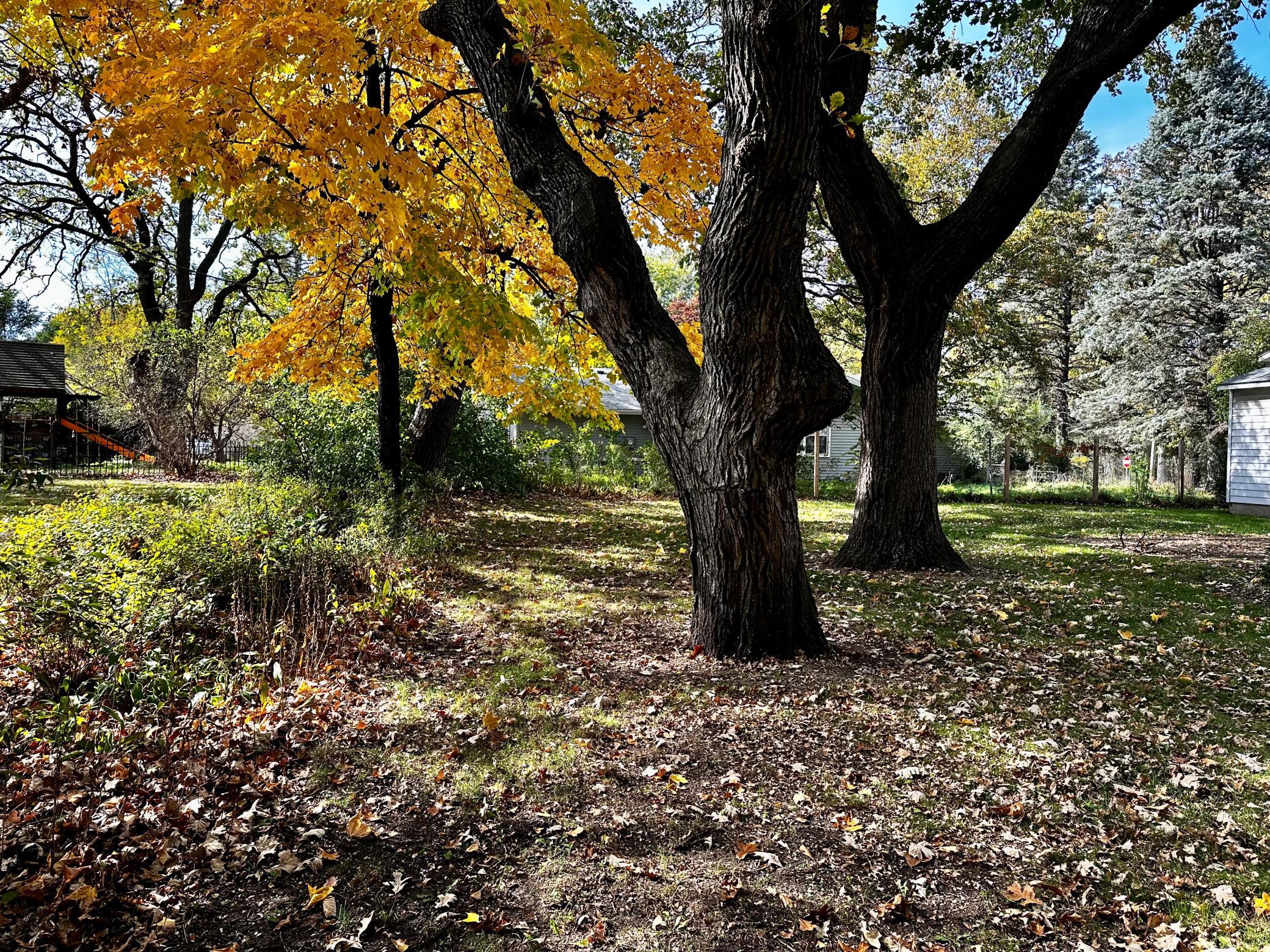 .34 Acre Lot - 100' x 150'