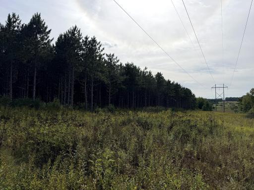 0 3 1/2 Avenue, Chetek, WI 54728