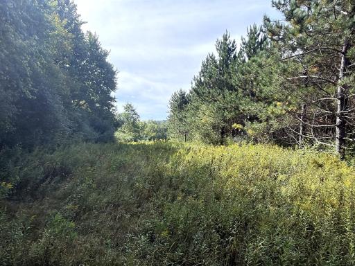 0 3 1/2 Avenue, Chetek, WI 54728