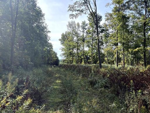 0 3 1/2 Avenue, Chetek, WI 54728